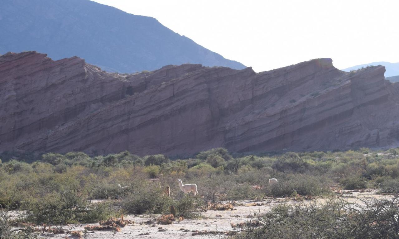 Apartmán Bella Vista - Cafayate Exteriér fotografie